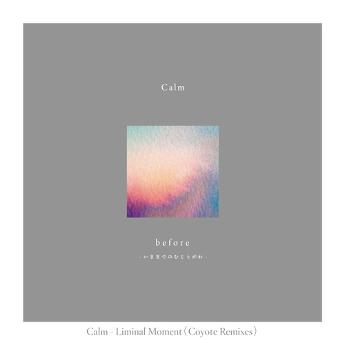 Calm - Liminal Moment (Coyote Remixes) [HYR7264]